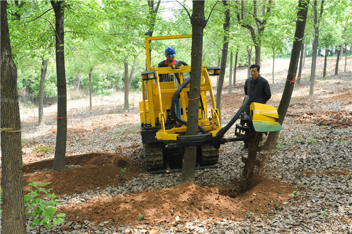 挖树机挖树现场